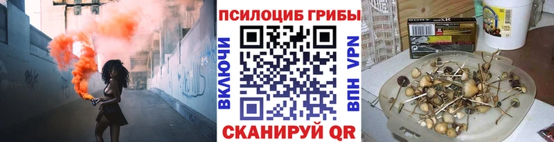 Купить закладки  Белгород  Псилоцибиновые грибы GOLDEN TEACHER 